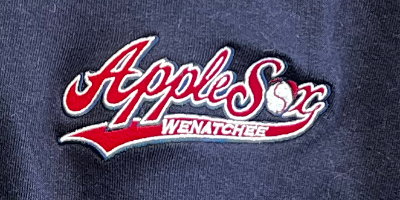 AppleSox Navy Logo .png