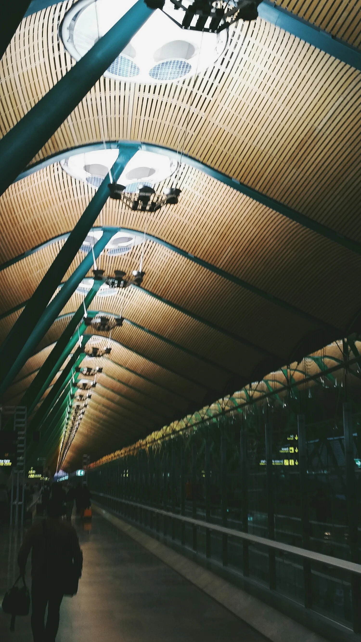 Madrid airport. Wonderful architecture. 