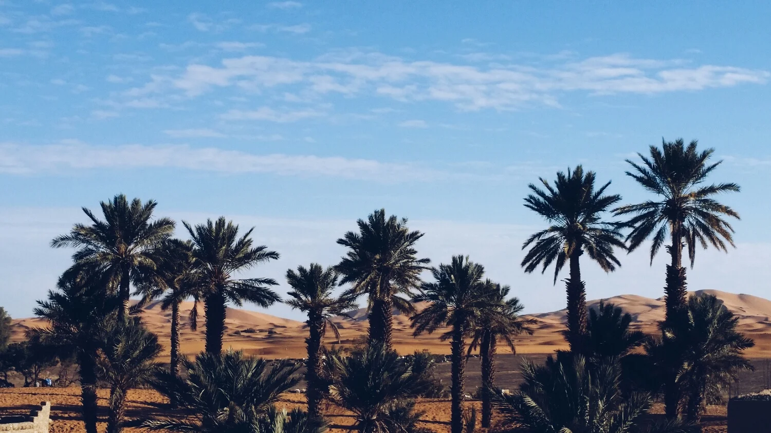 Dunes of the Sahara