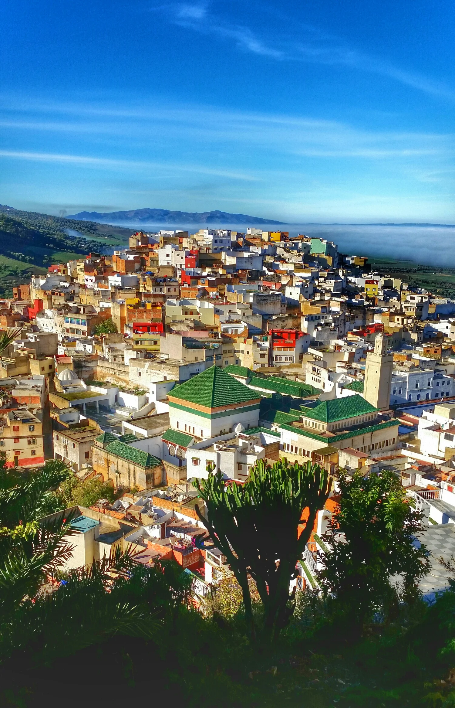 Moulay Idriss from up top.