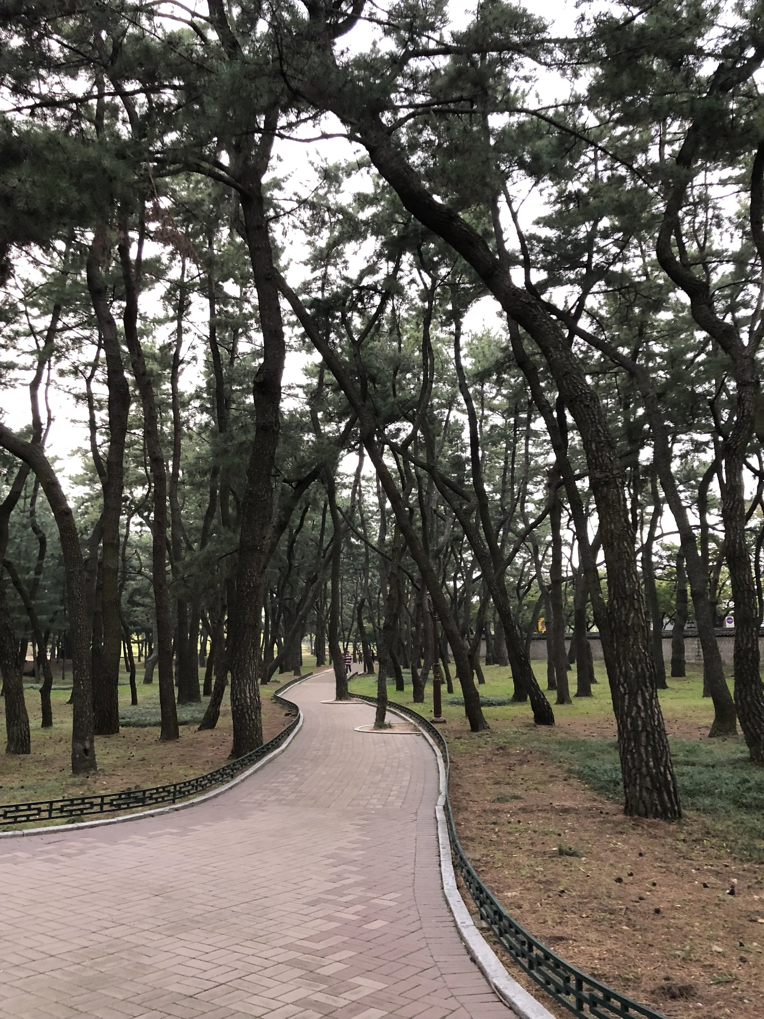 Discovering South Korea — Culture Traveler