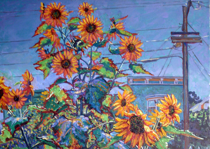SF.Sunflower6Blog