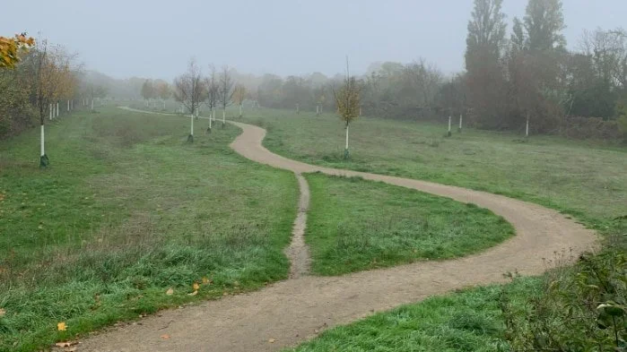 On Desire Paths: Seeking the Voices Left Out of Urban Design