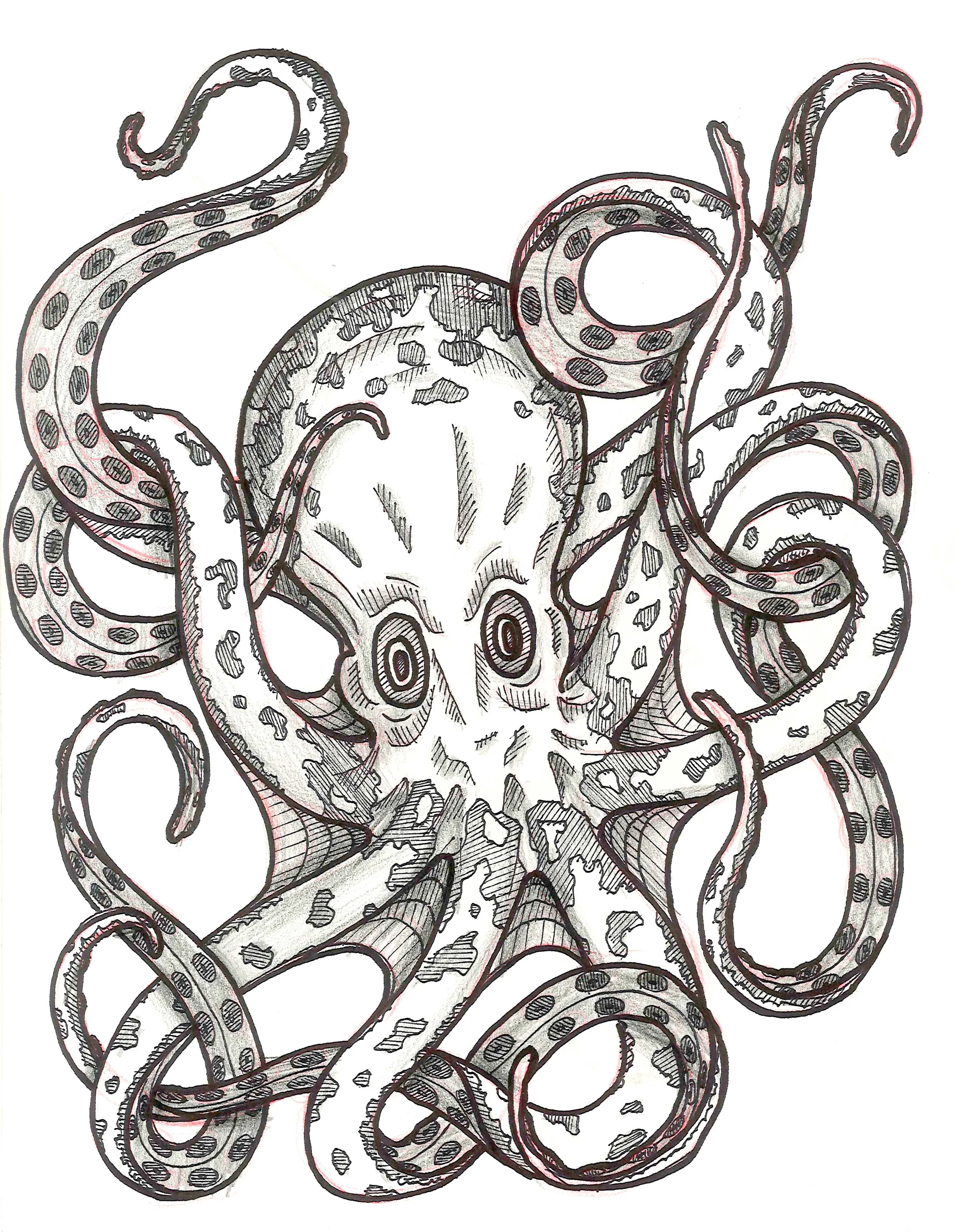 octopus_1.jpg