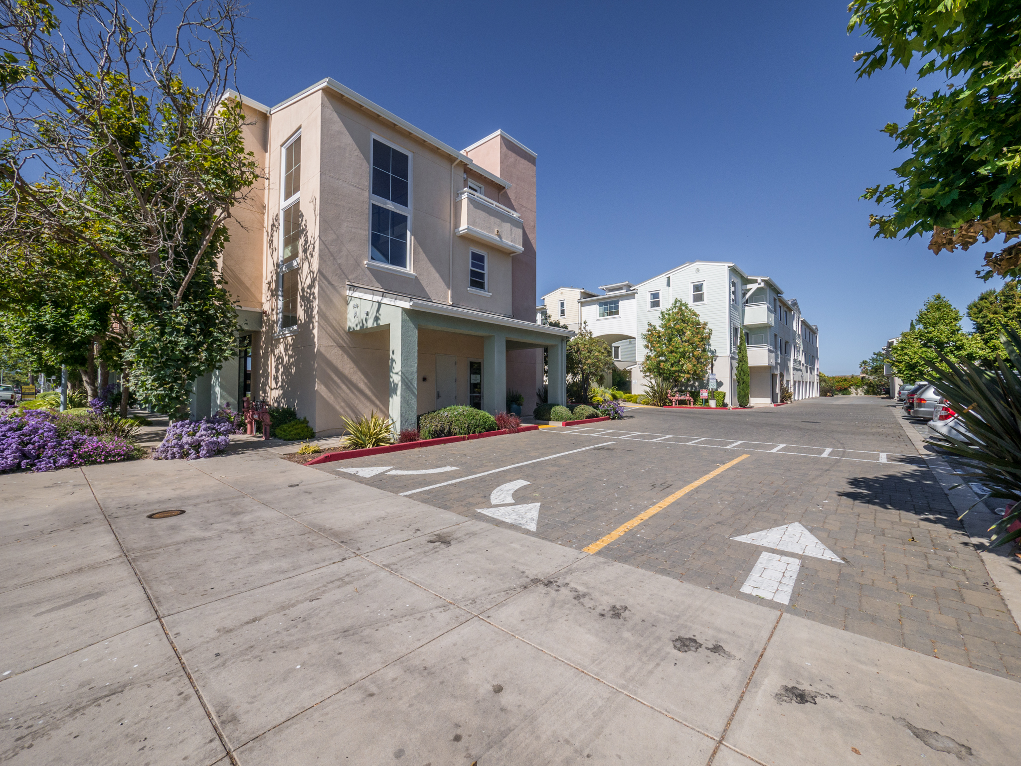 1066 C202 41st-16.jpg
