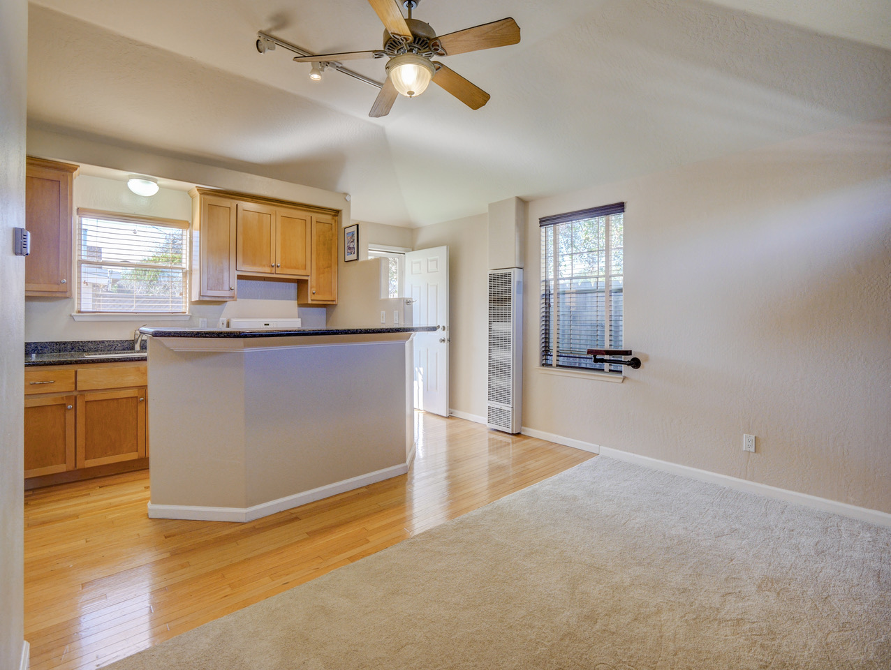 225 Parnell-80.jpeg