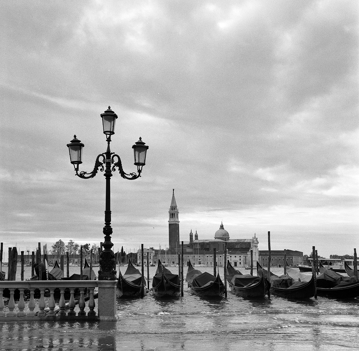 Venice437.5.jpg