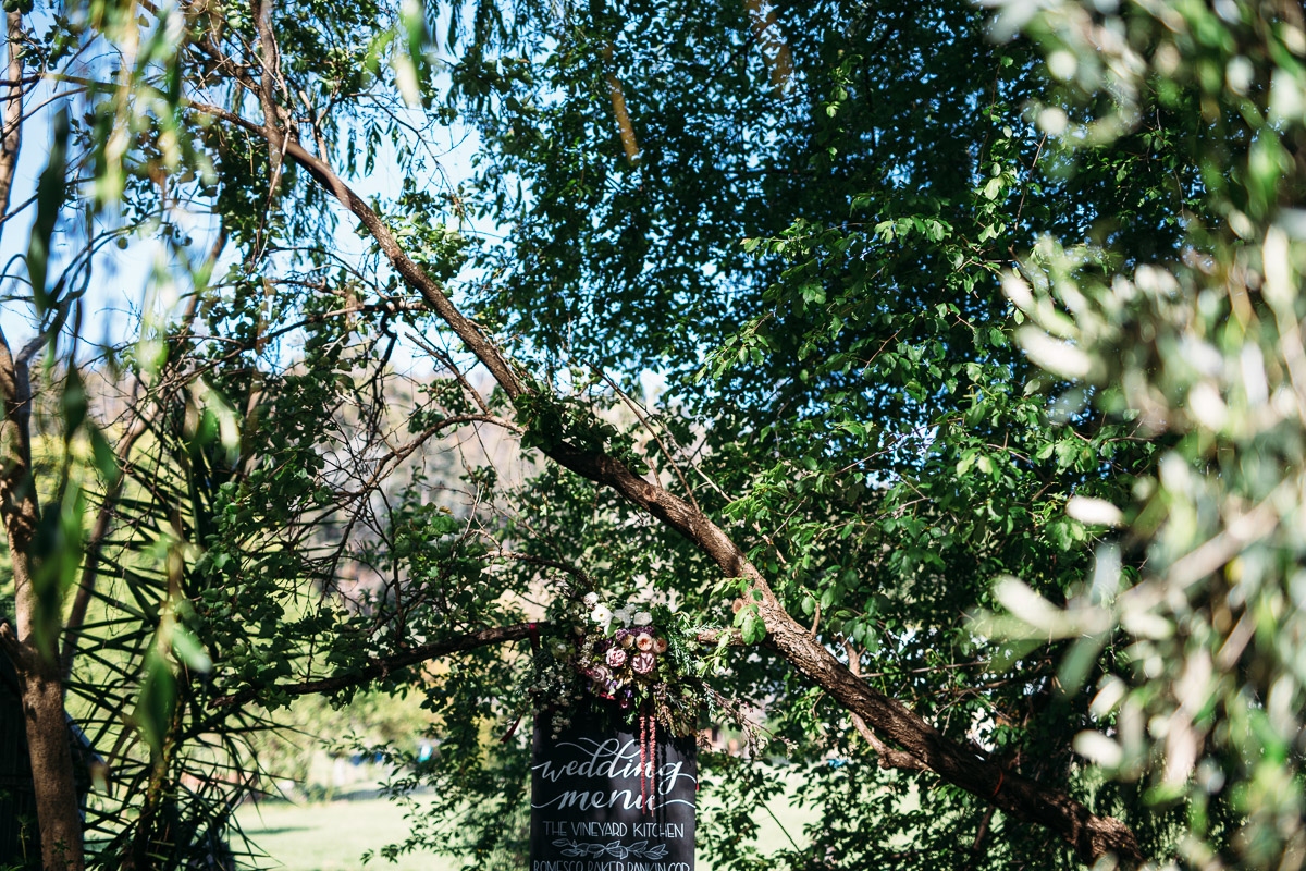 Lori + Conor-Brookside Vineyard wedding-143.jpg