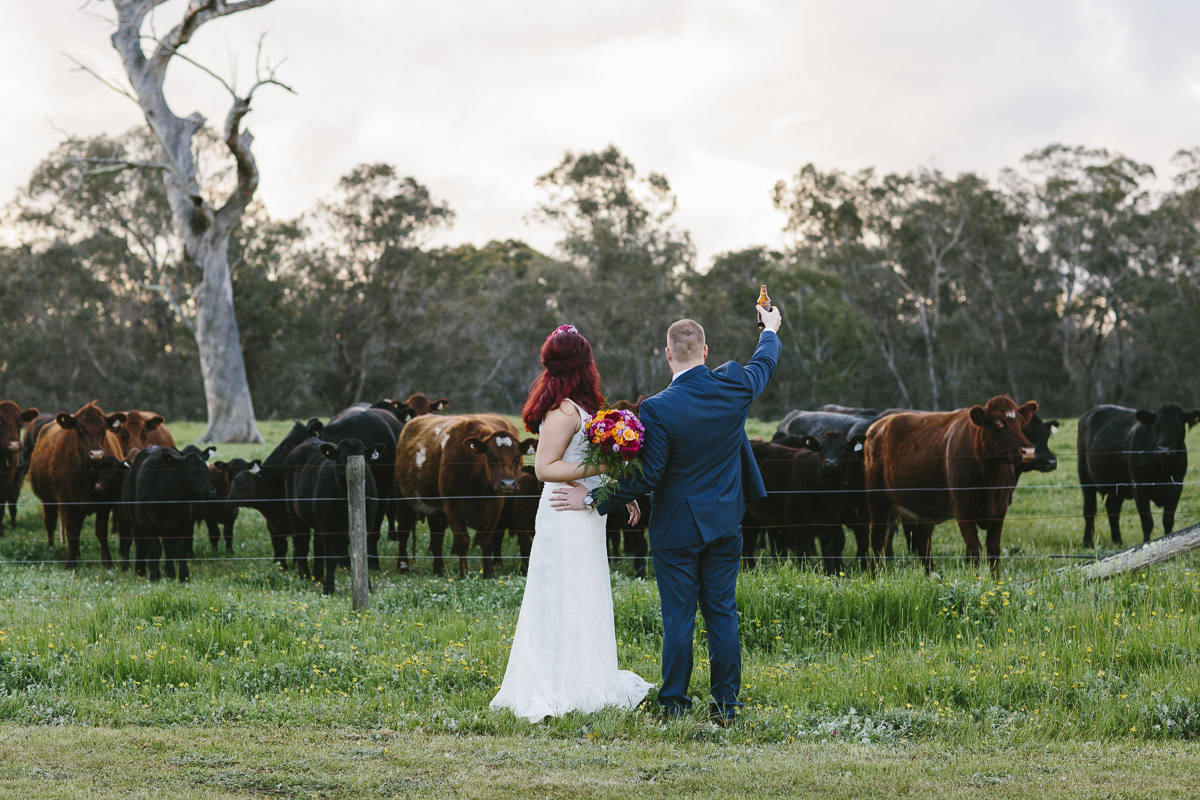 Farm wedding - Pinjarra.jpg