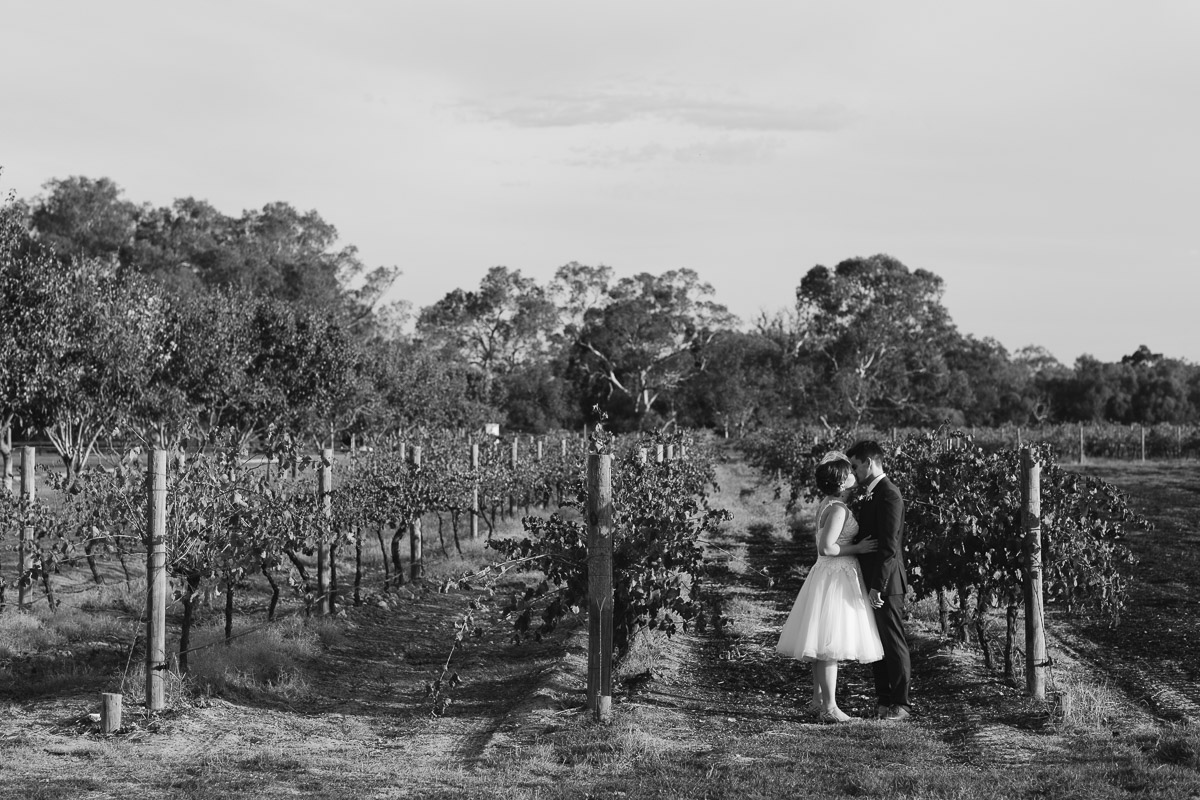 Swan Valley - vintage wedding-2.jpg