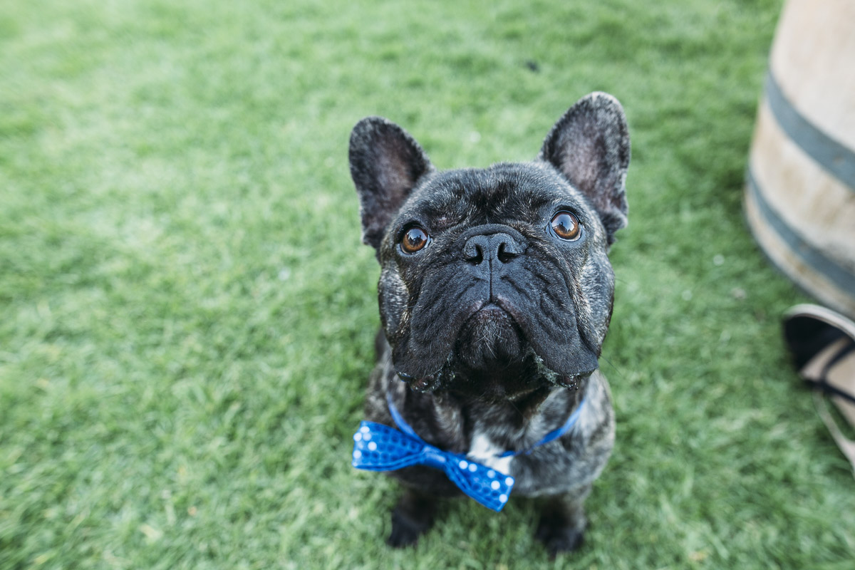 Margaret River wedding.jpg