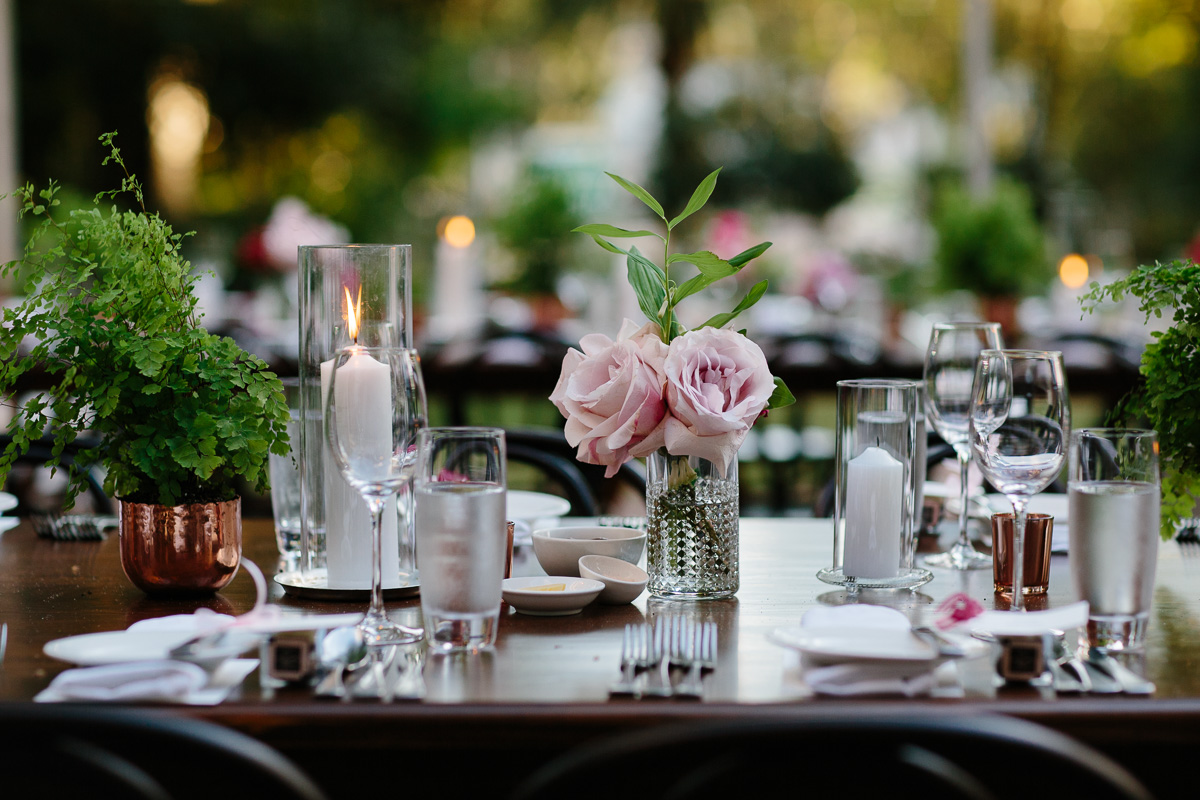 Caitlin+Joel-Lamonts Bishops House wedding-Peggy Saas-85.jpg