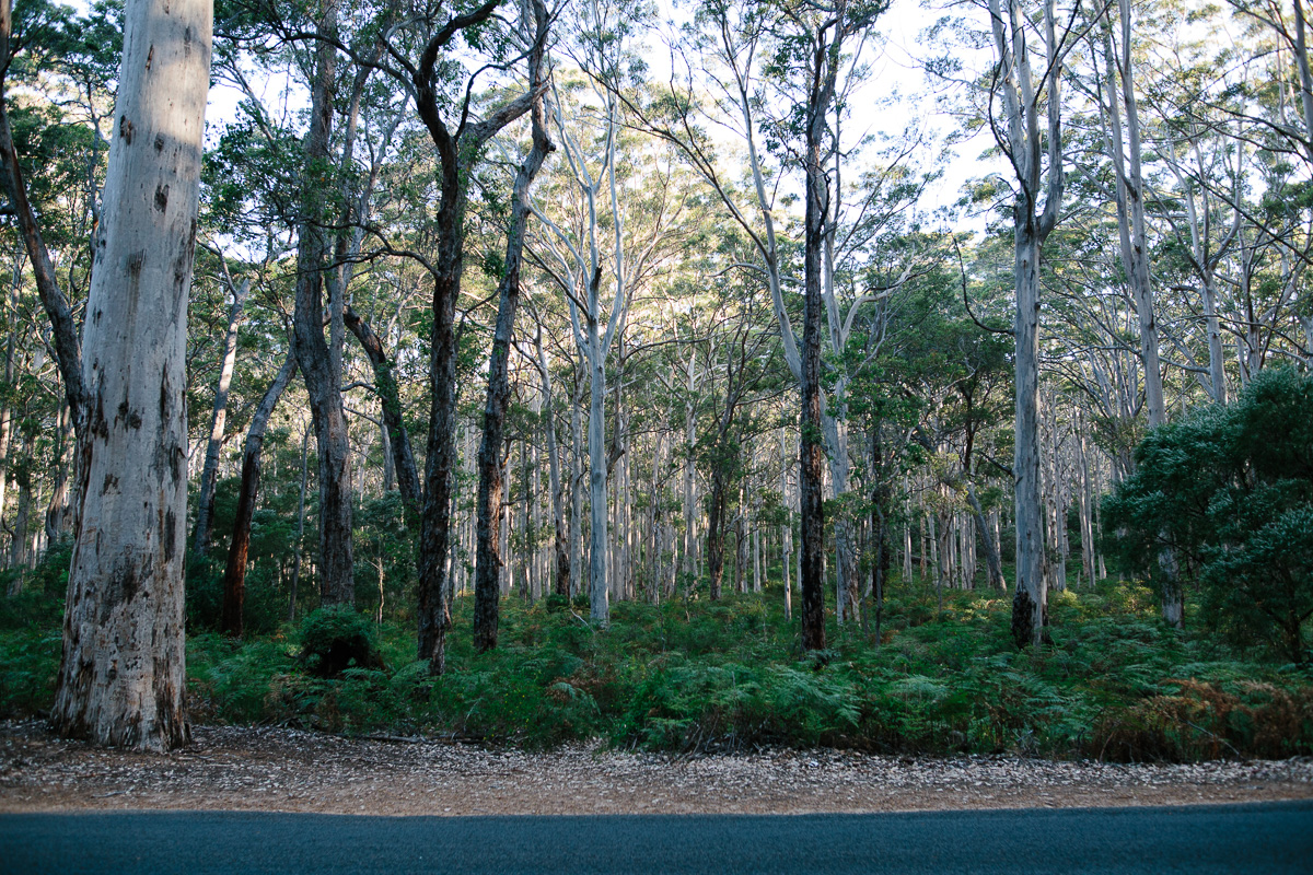 Aksana + David-Margaret River Wedding-Peggy Saas-61.jpg