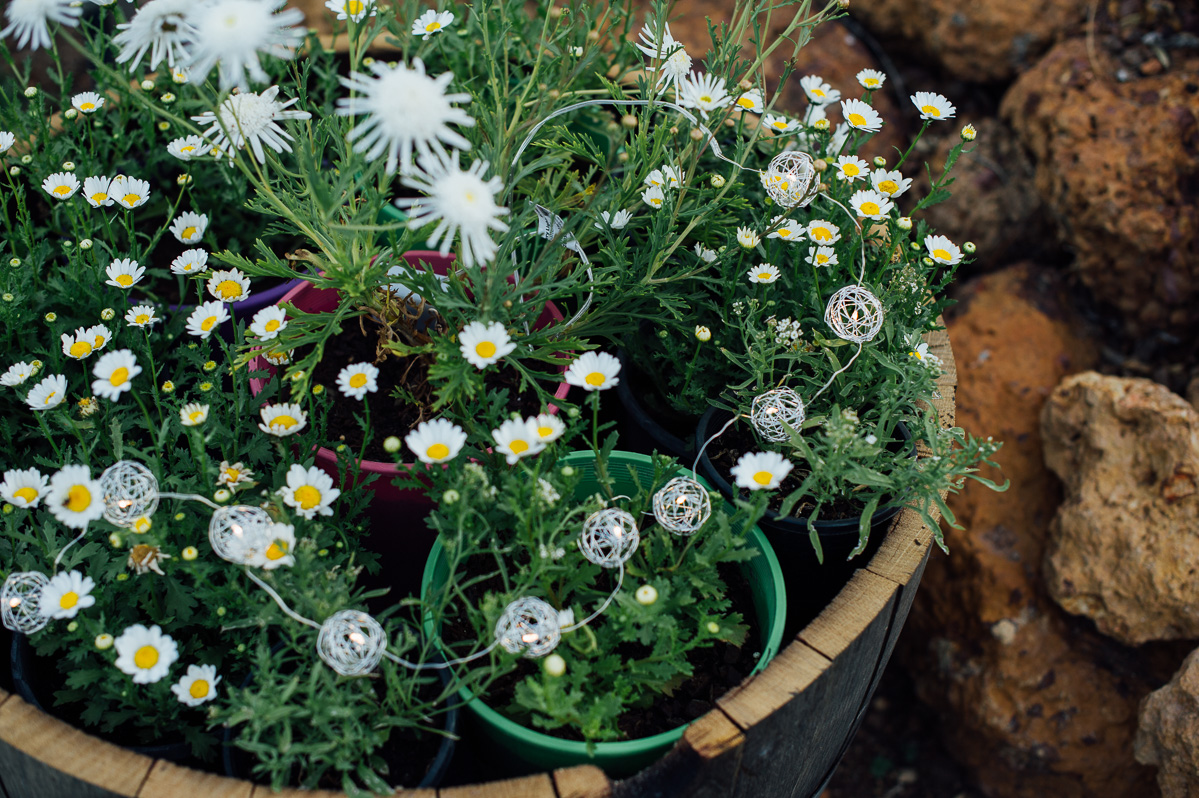 Aksana + David-Margaret River Wedding-Peggy Saas-93.jpg
