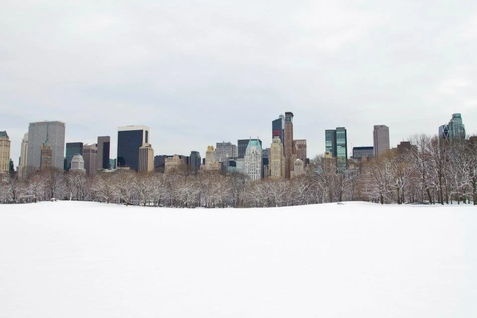 Central Park New York City Snow.jpeg