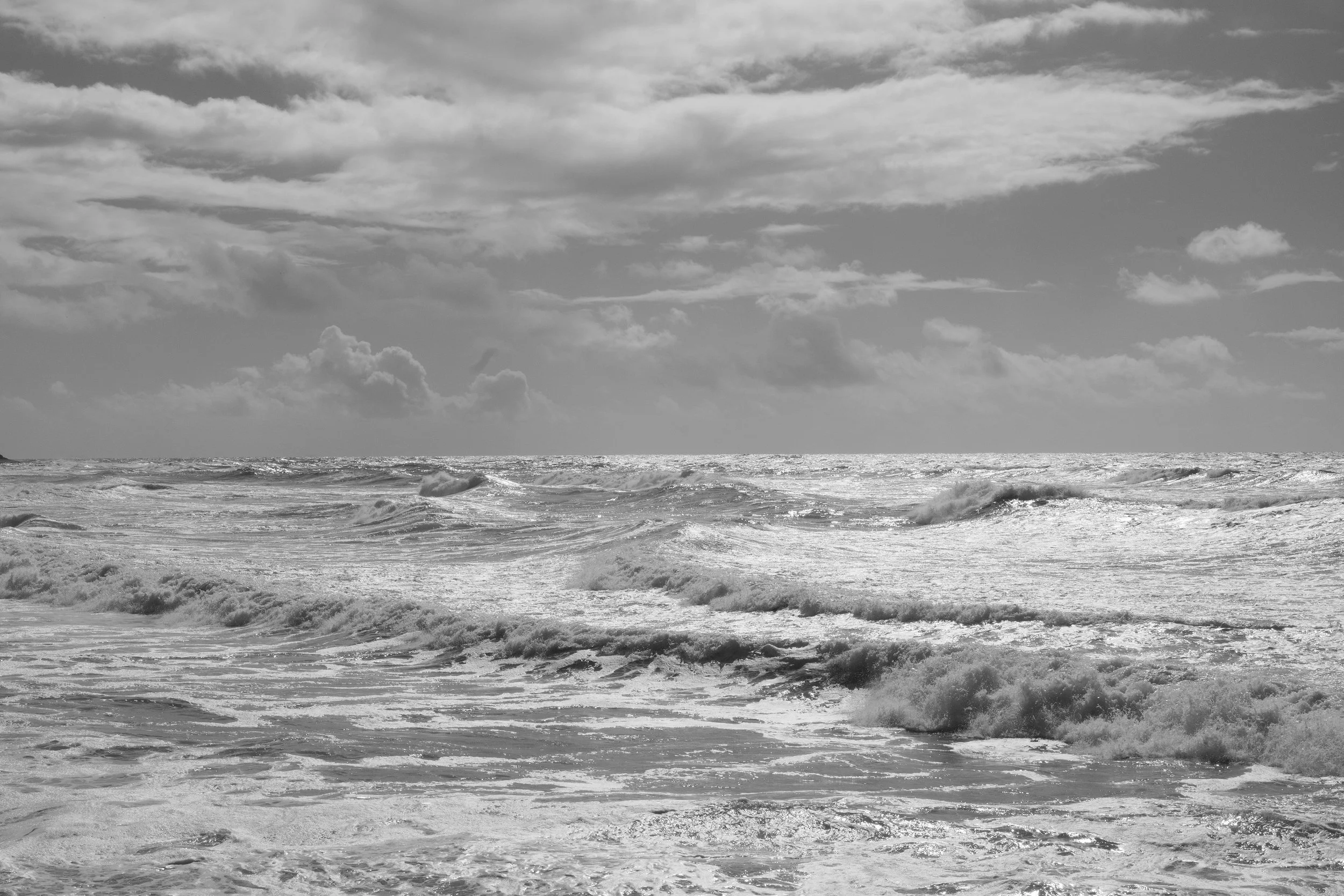 Windandsea 2019 smaller.jpg