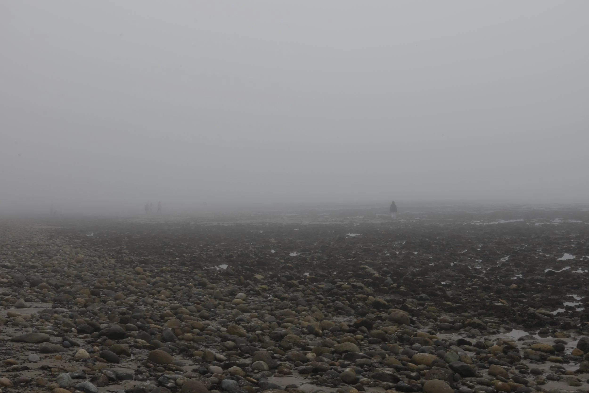 san onofre clemente fog 0025.JPG