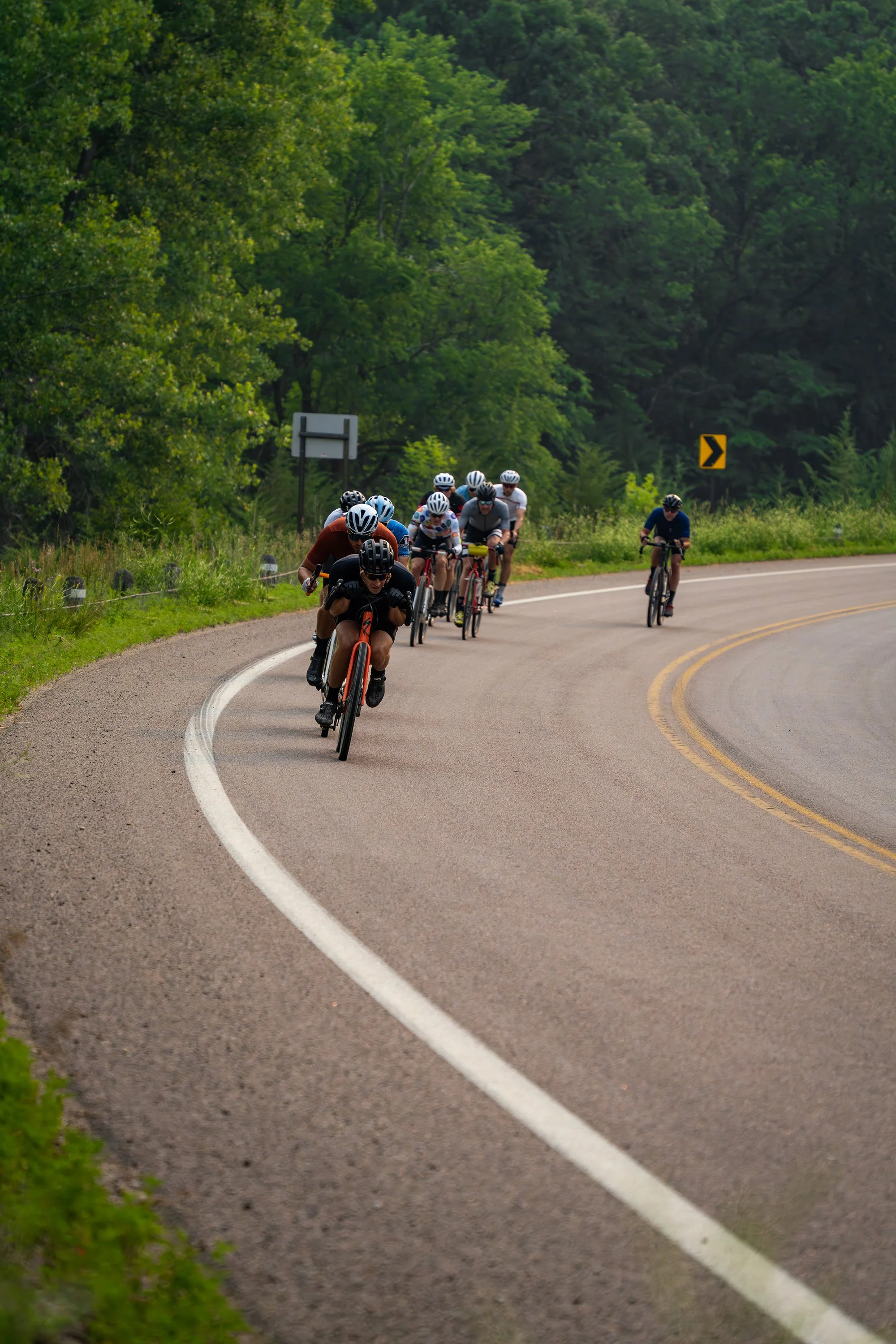 DSC06759-Enhanced-NR copy.jpg