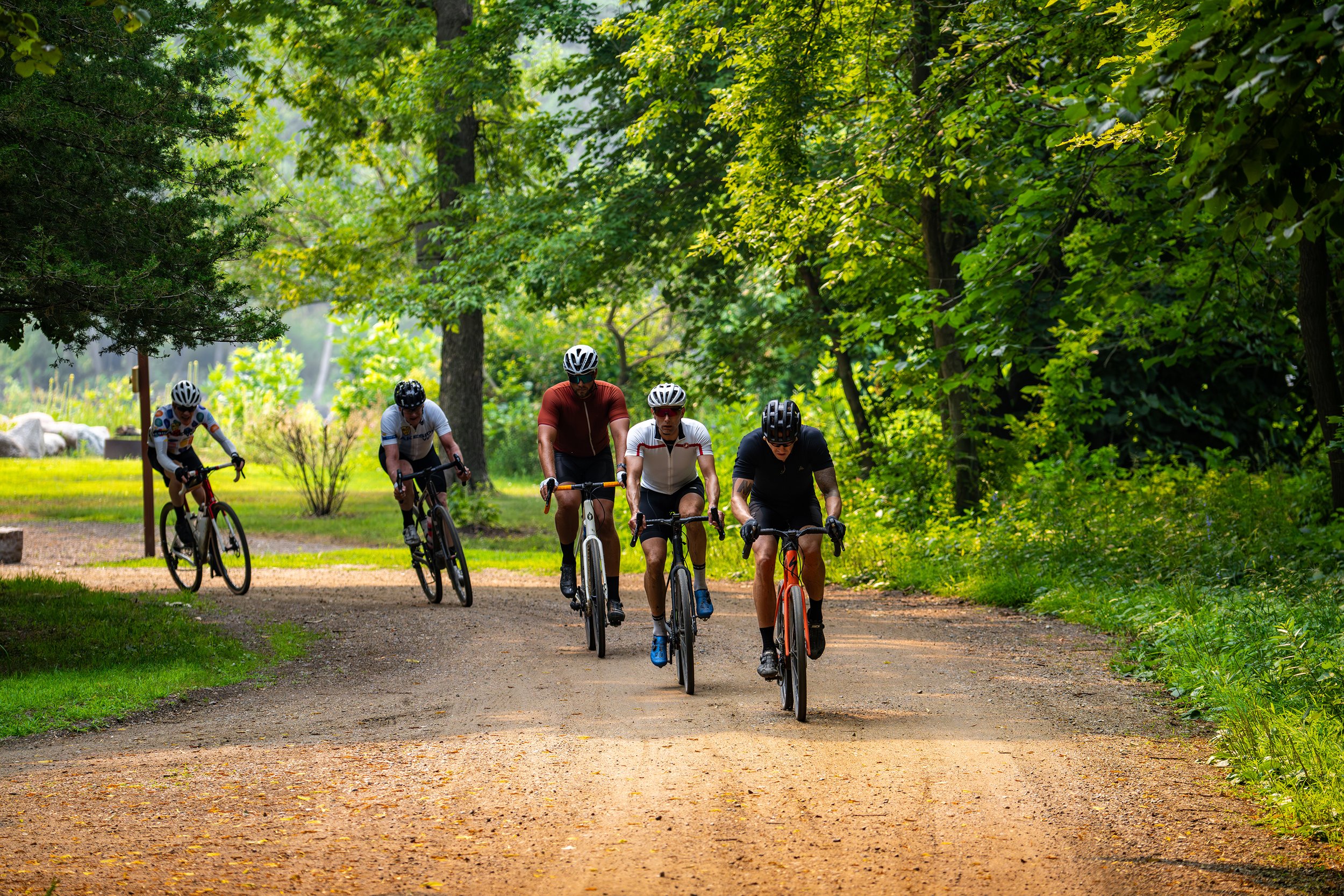 DSC07008-Enhanced-NR copy.jpg