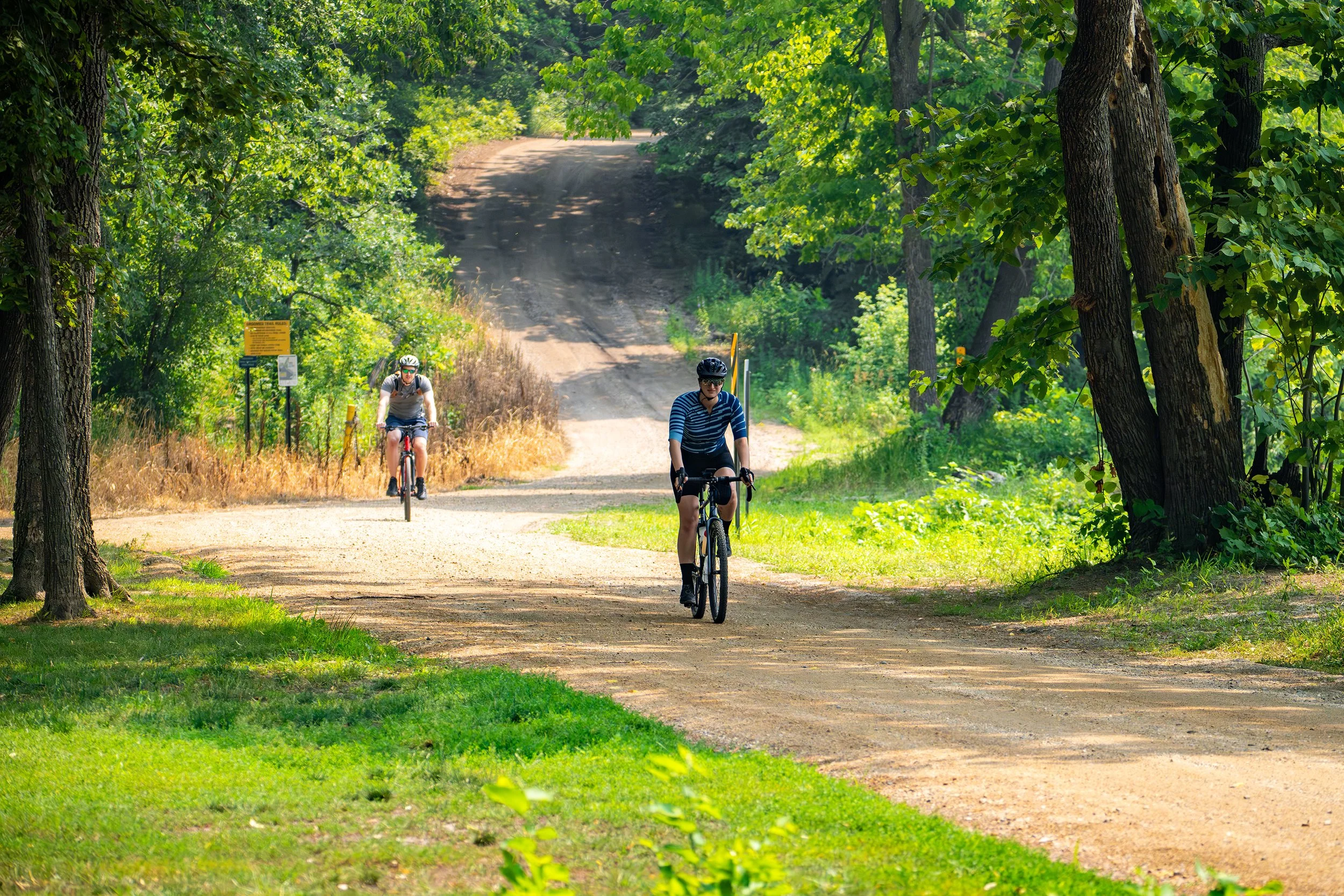 DSC07280-Enhanced-NR copy.jpg