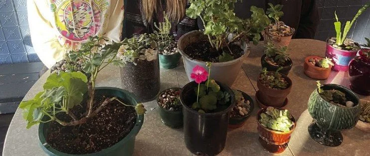 Annual YME Horticulture Club Sale