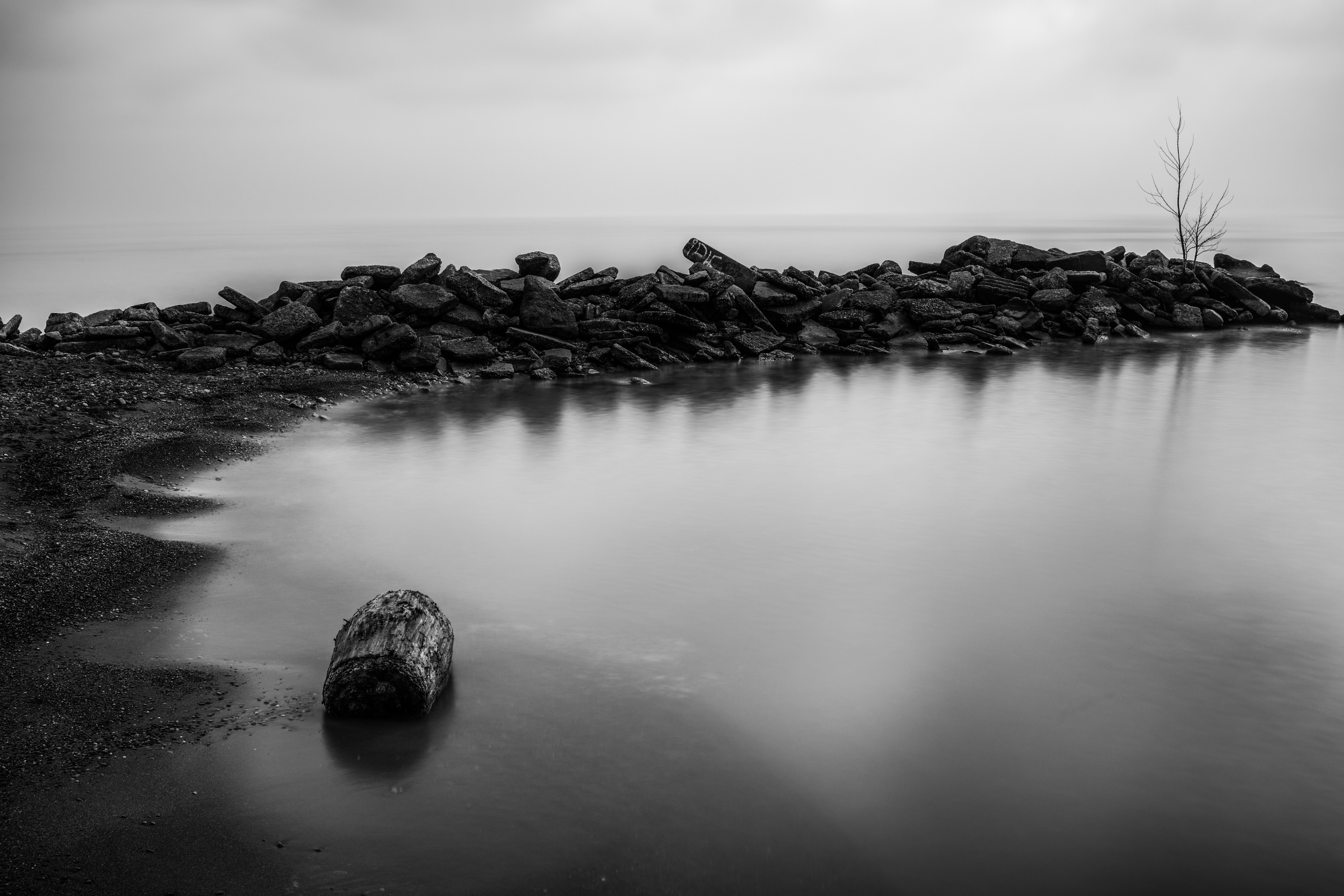 Log in lake (1 of 1).jpg