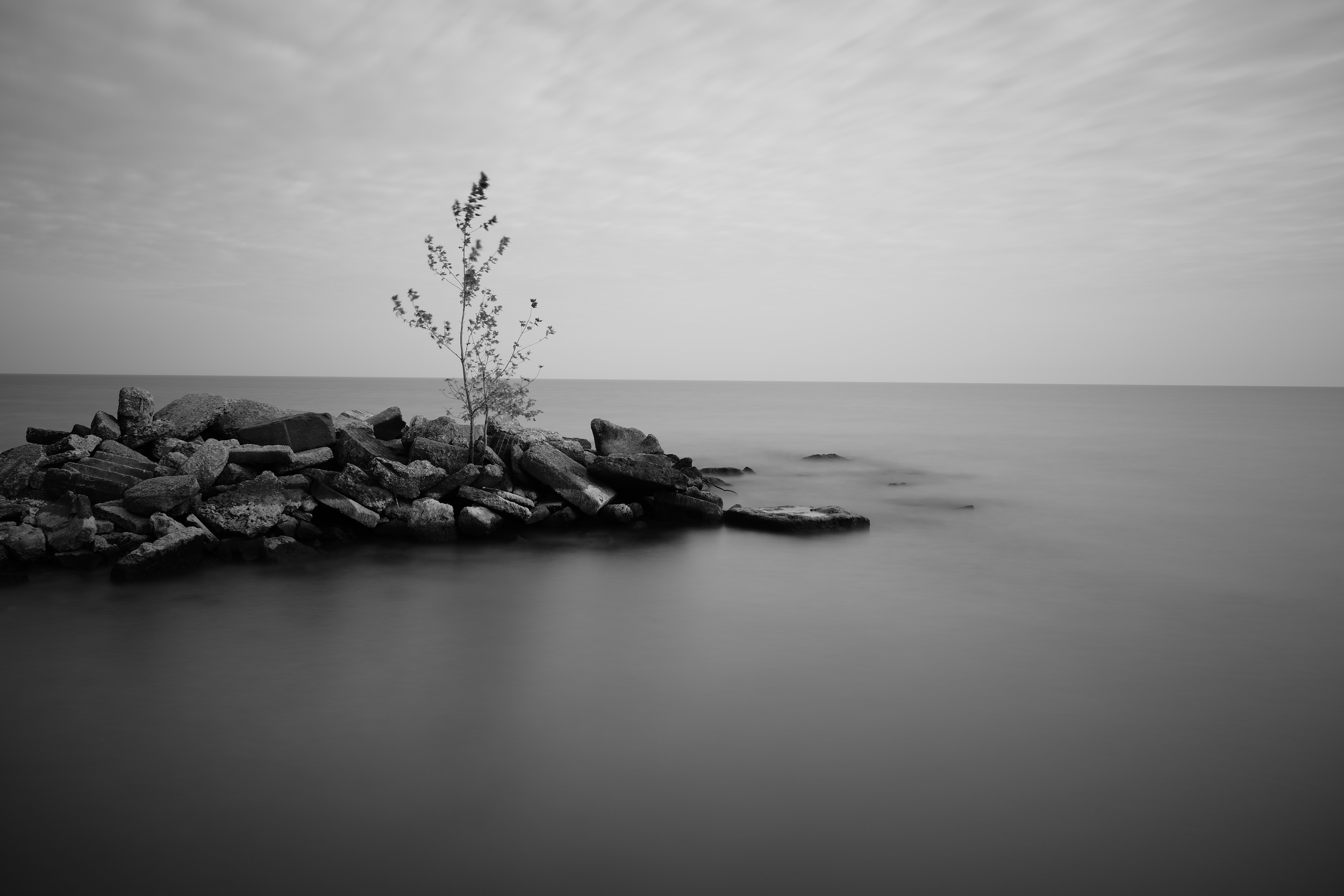 _DSC1317.JPG