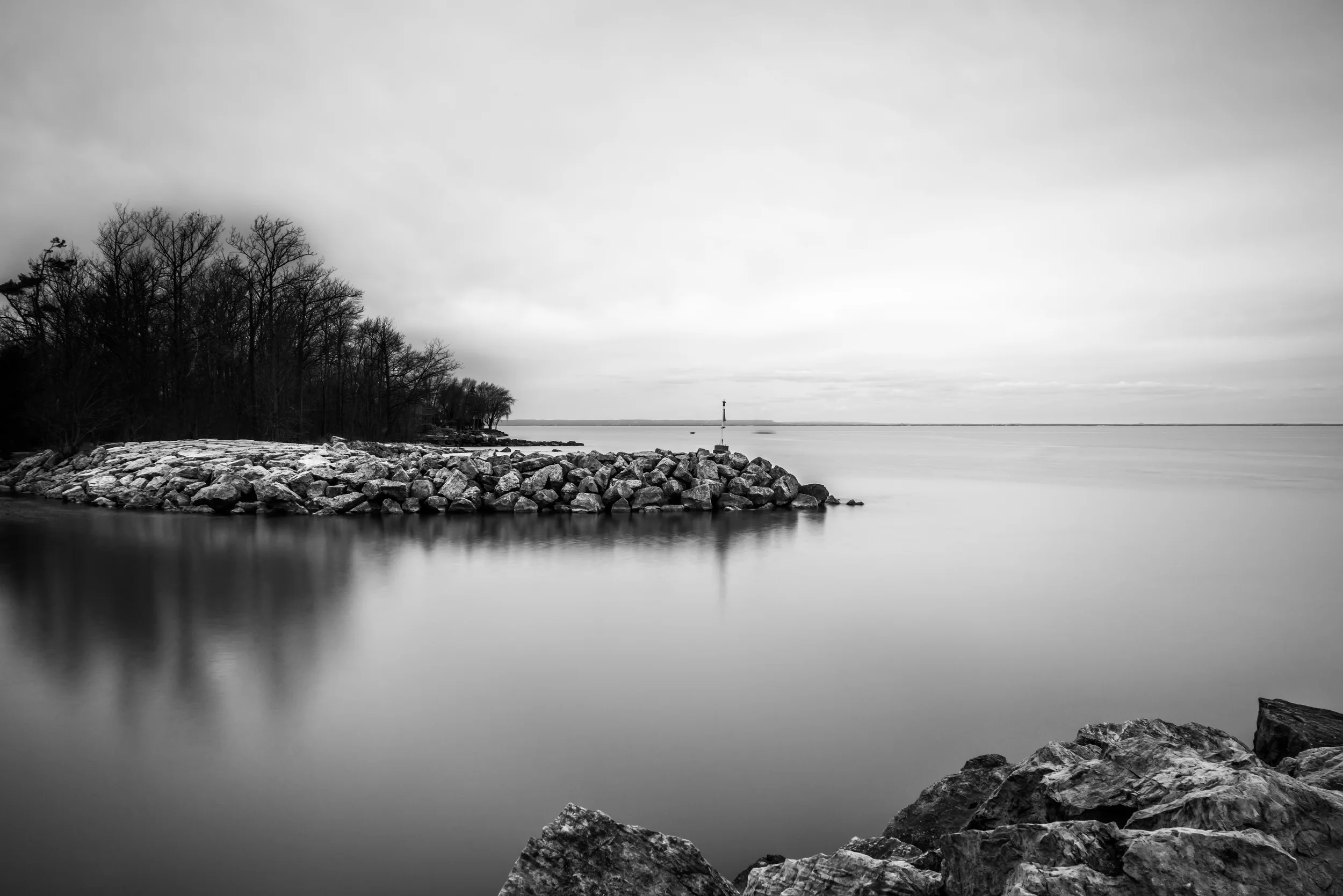 DSC00275.jpg