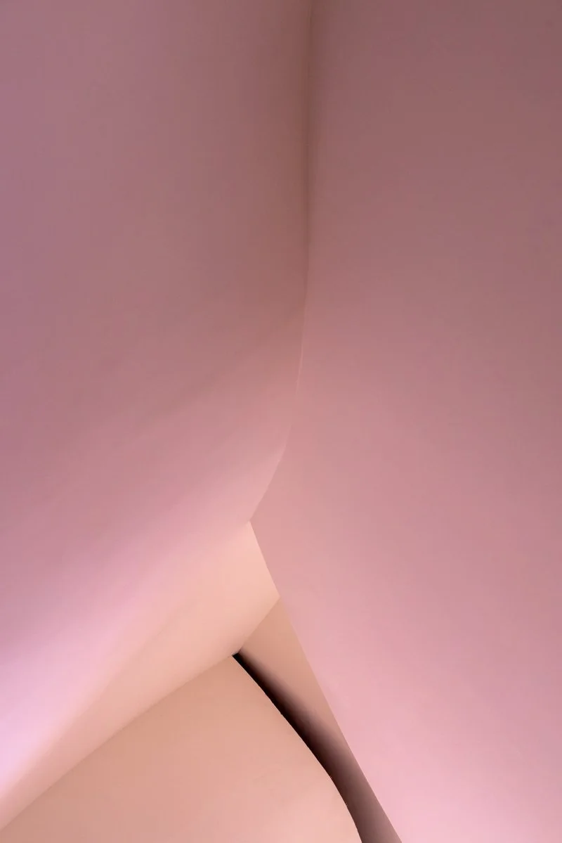_DSC9244.JPG