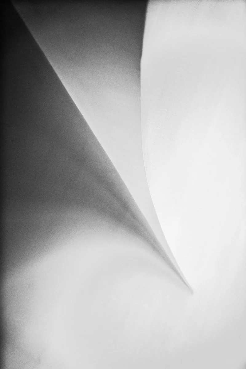 _DSC2972_1.JPG
