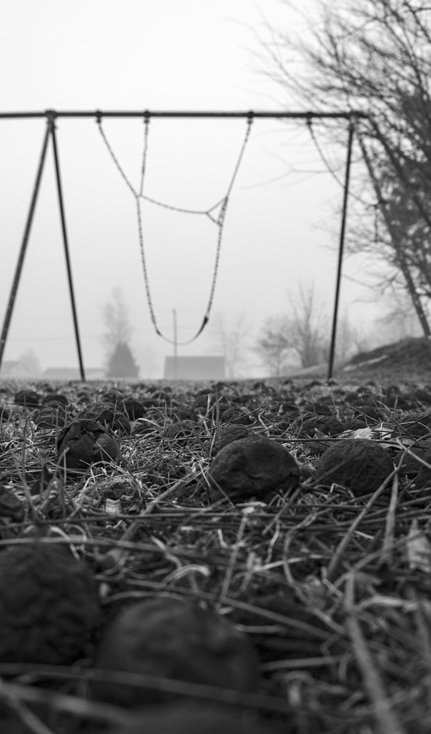 7-web.jpg