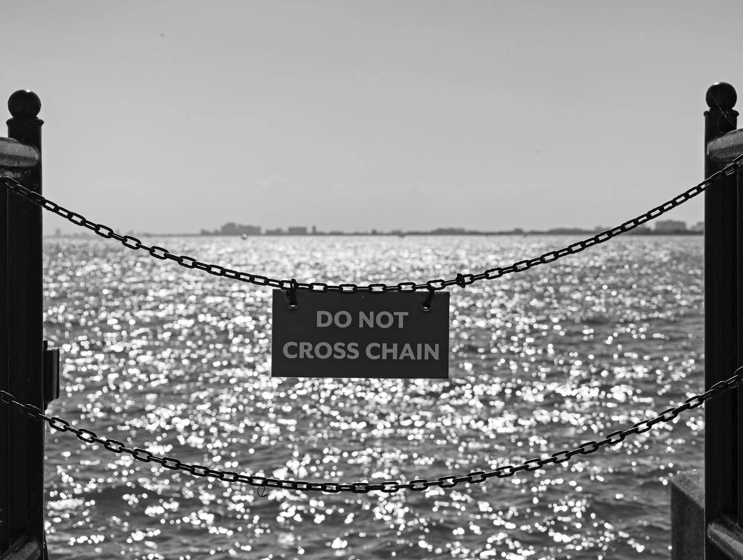 25-web.jpg