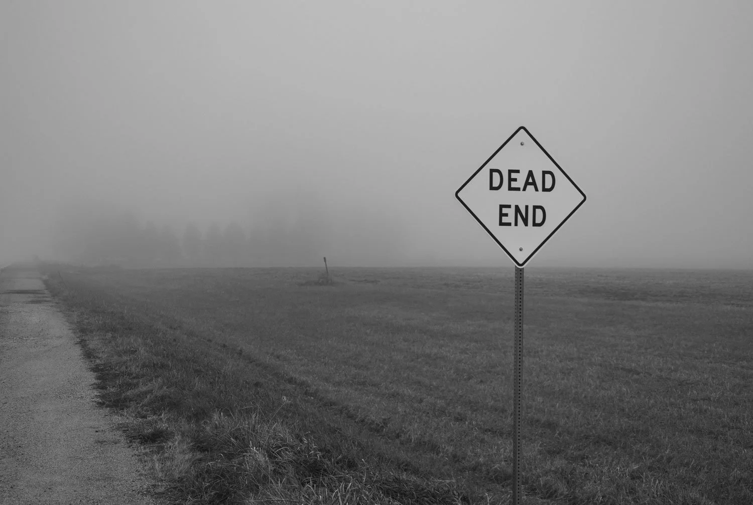 37-web.jpg