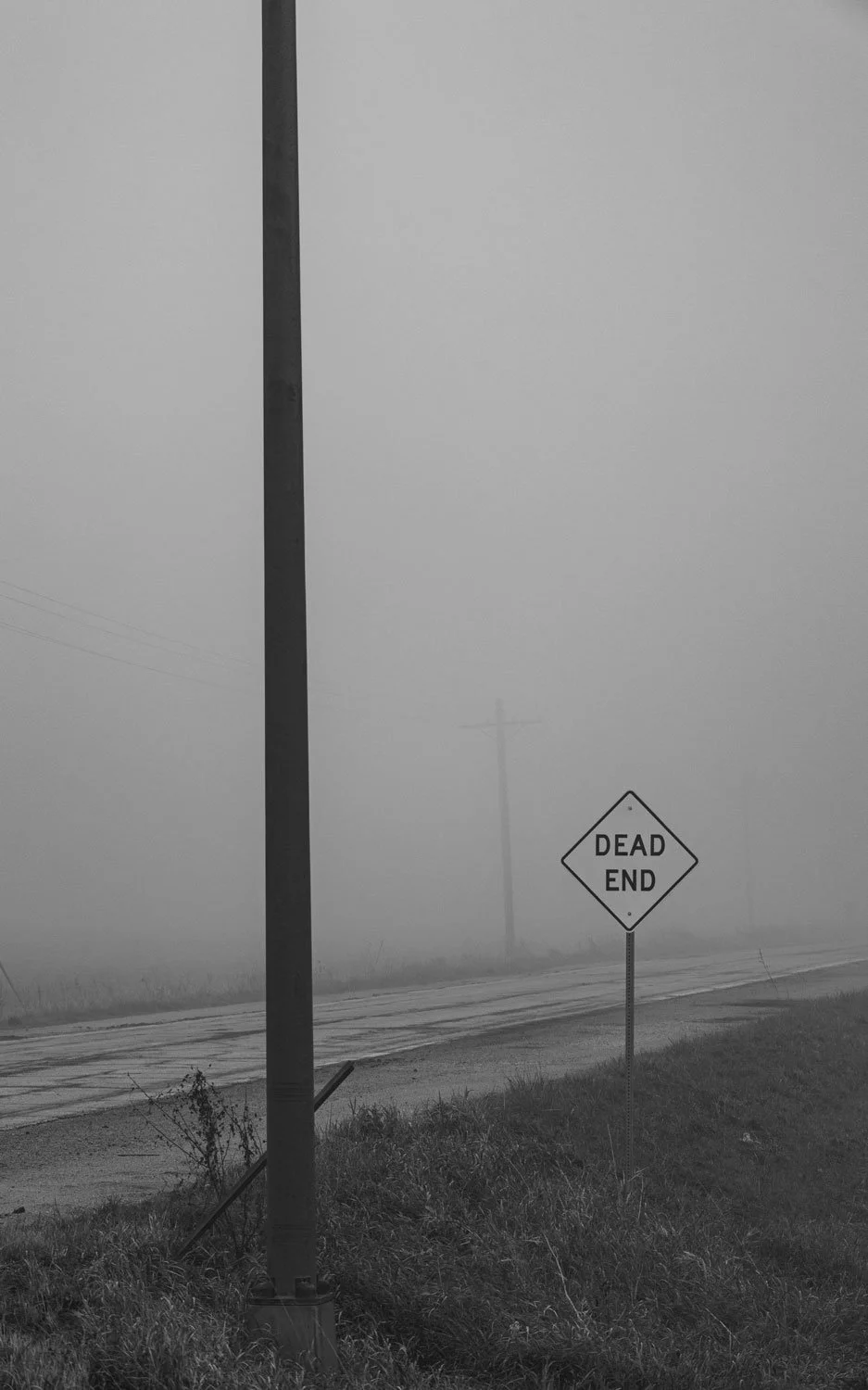 39-web.jpg