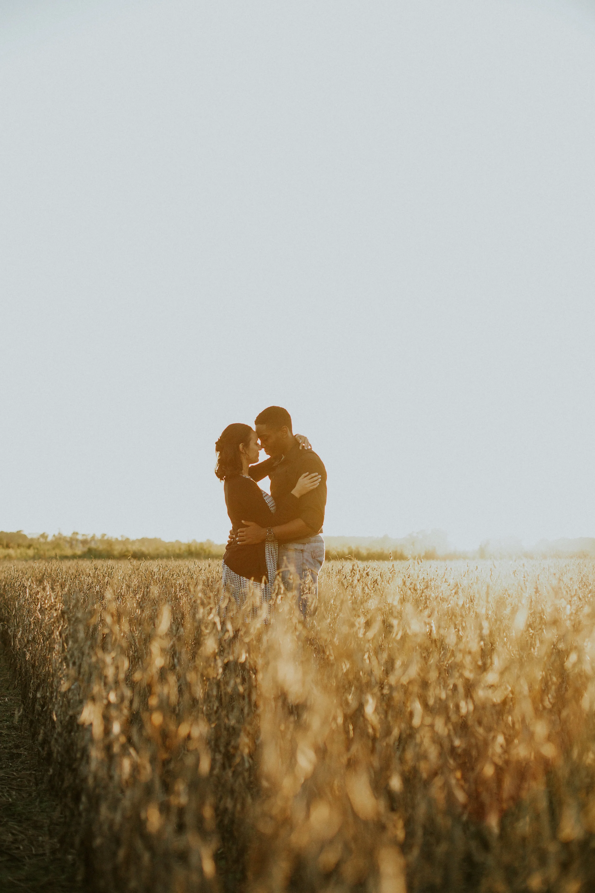 Delaware-PhotographerDelaware-Photographer walking during golden hour in a field  cornfield
