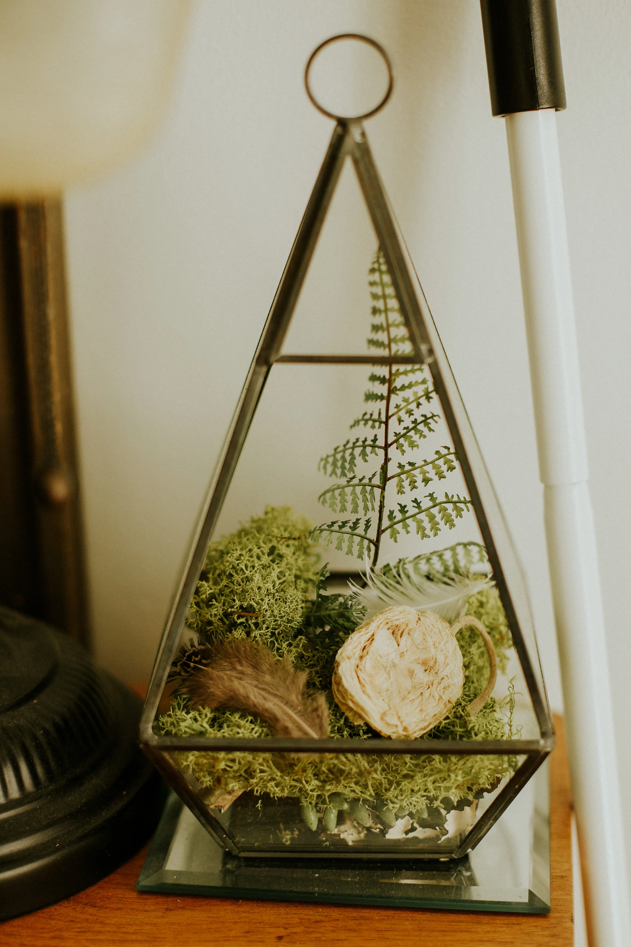 tacoma in home session&nbsp;