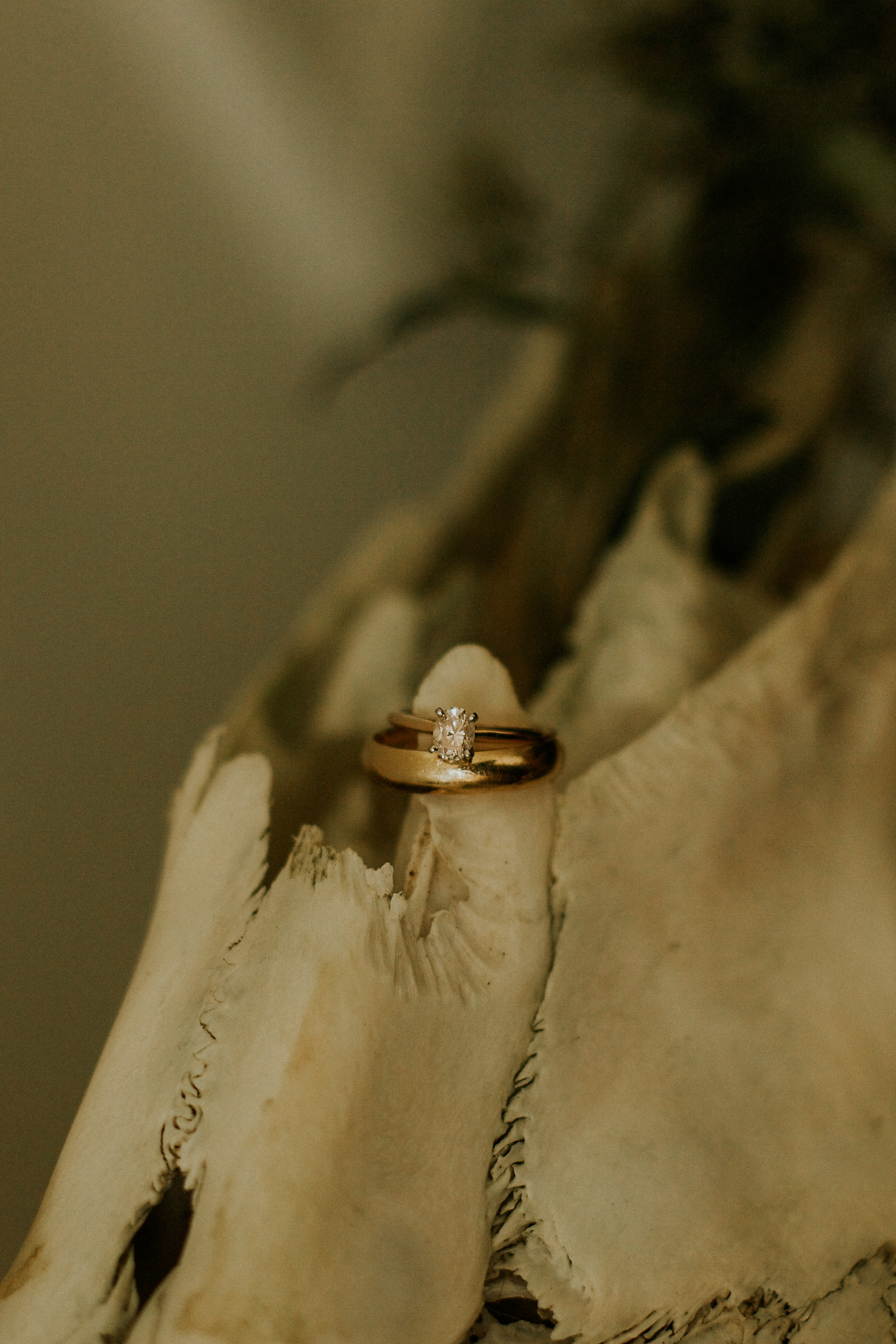 tacoma-in-home-session-photographer