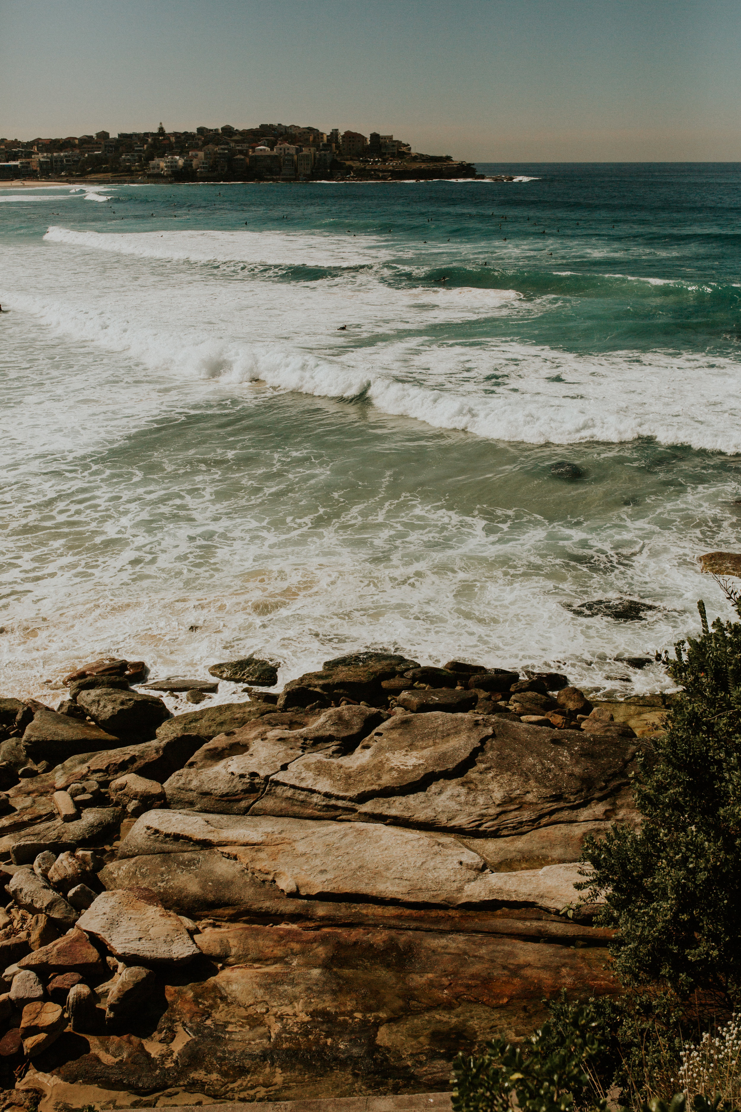 Australia Day three-48.jpg