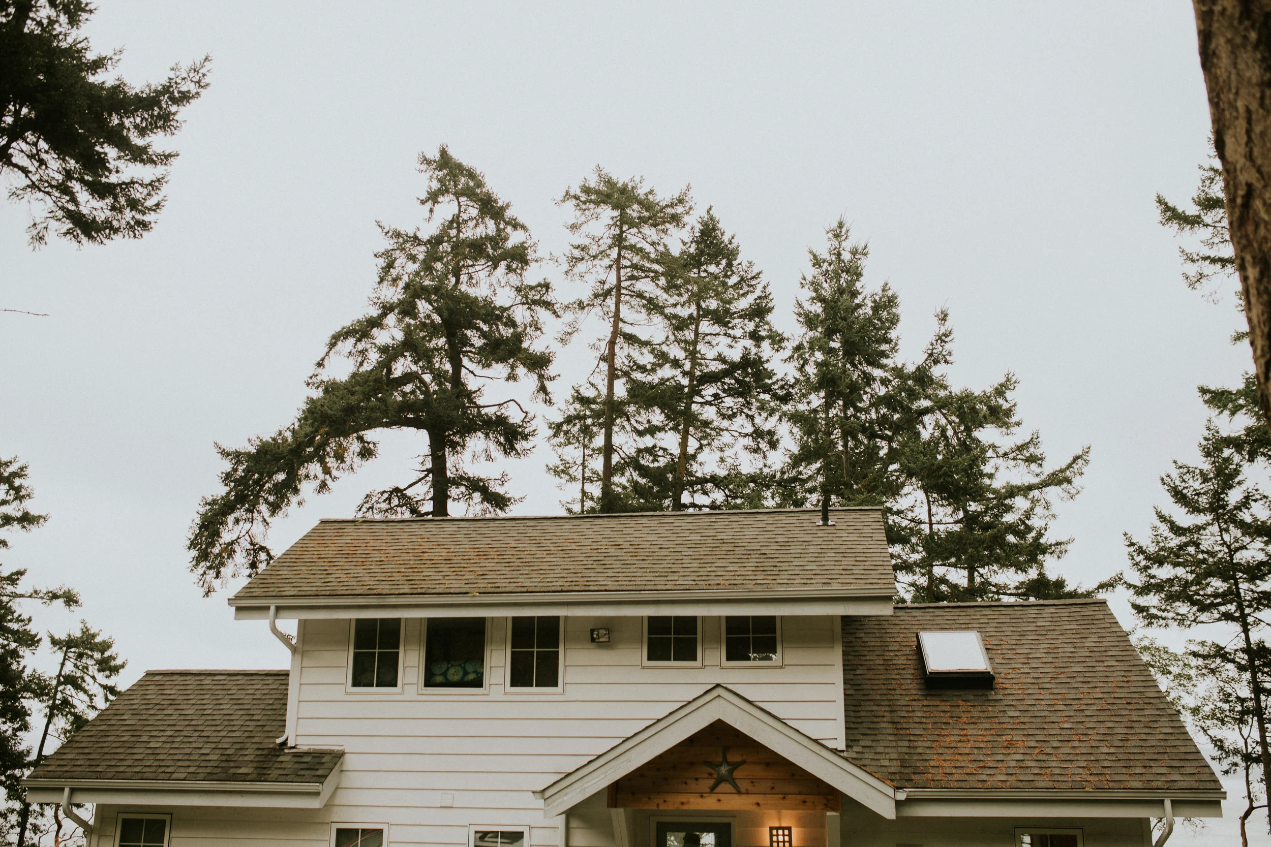 island-airbnb-elopement