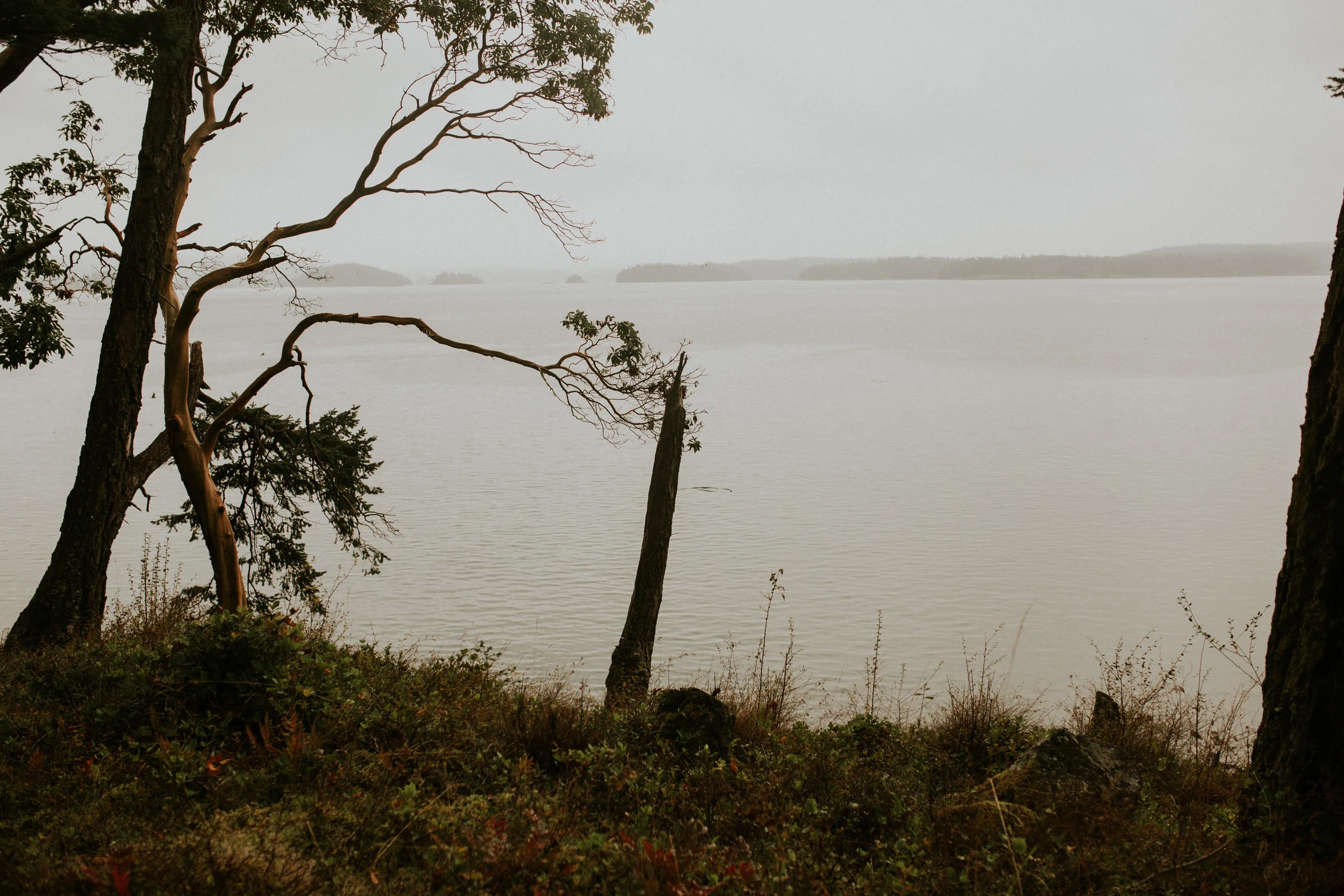 Friday-harbor-airbnb-elopement
