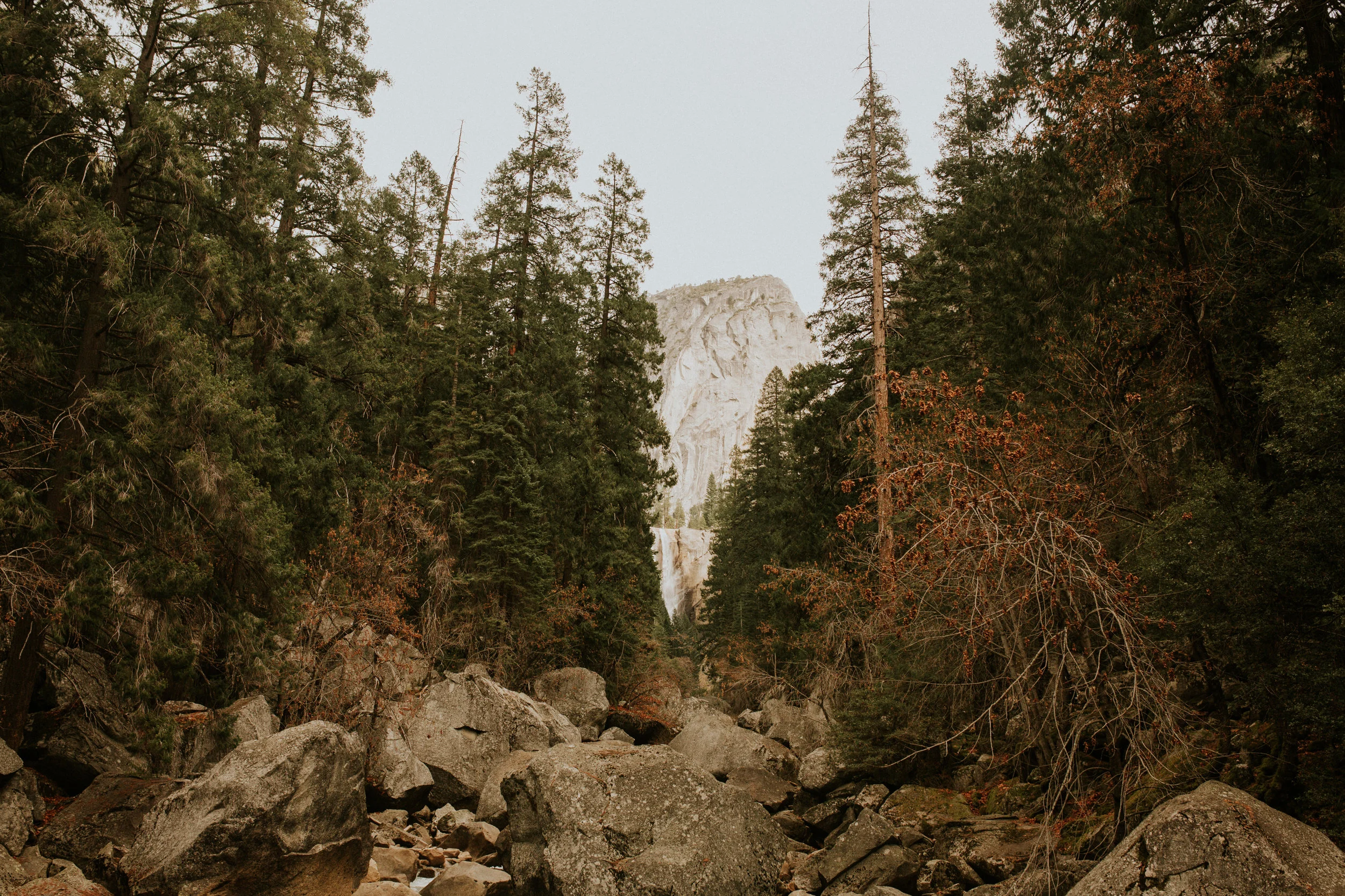 yoseite mist trail adventure