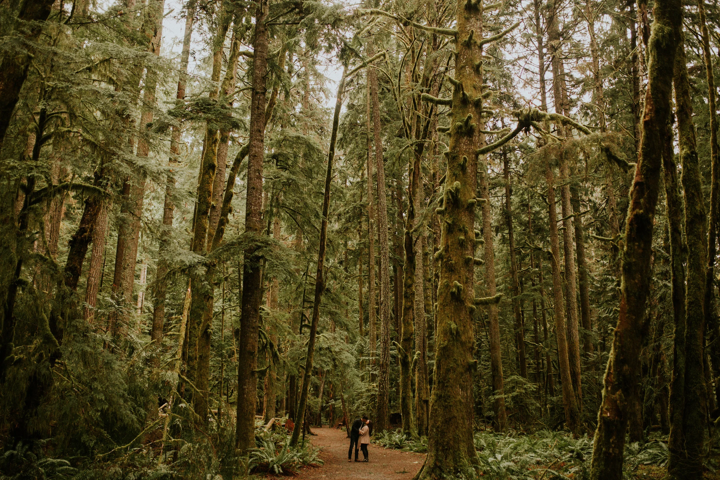 olympic national forest engagement session by breeanna lasher
