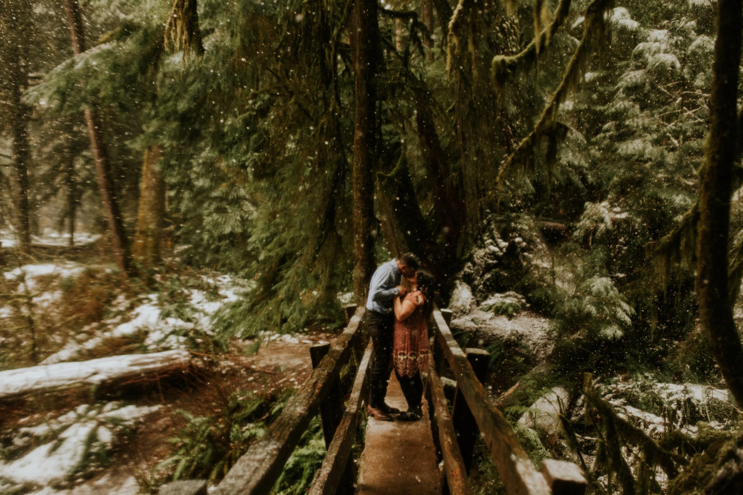 olympic national park engagement photos by BreeAnna Lasher