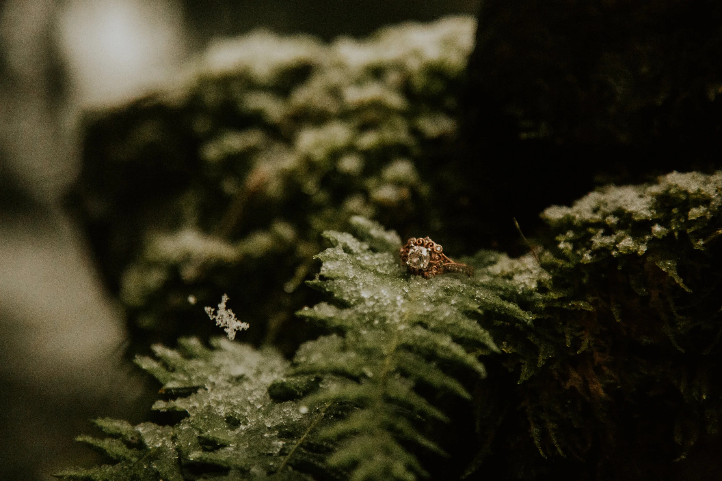 engagement ring marymere falls breeanna lasher