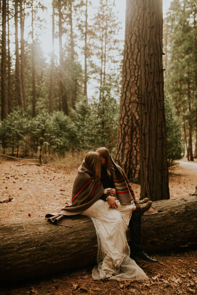yosemite national park forest elopement photography 