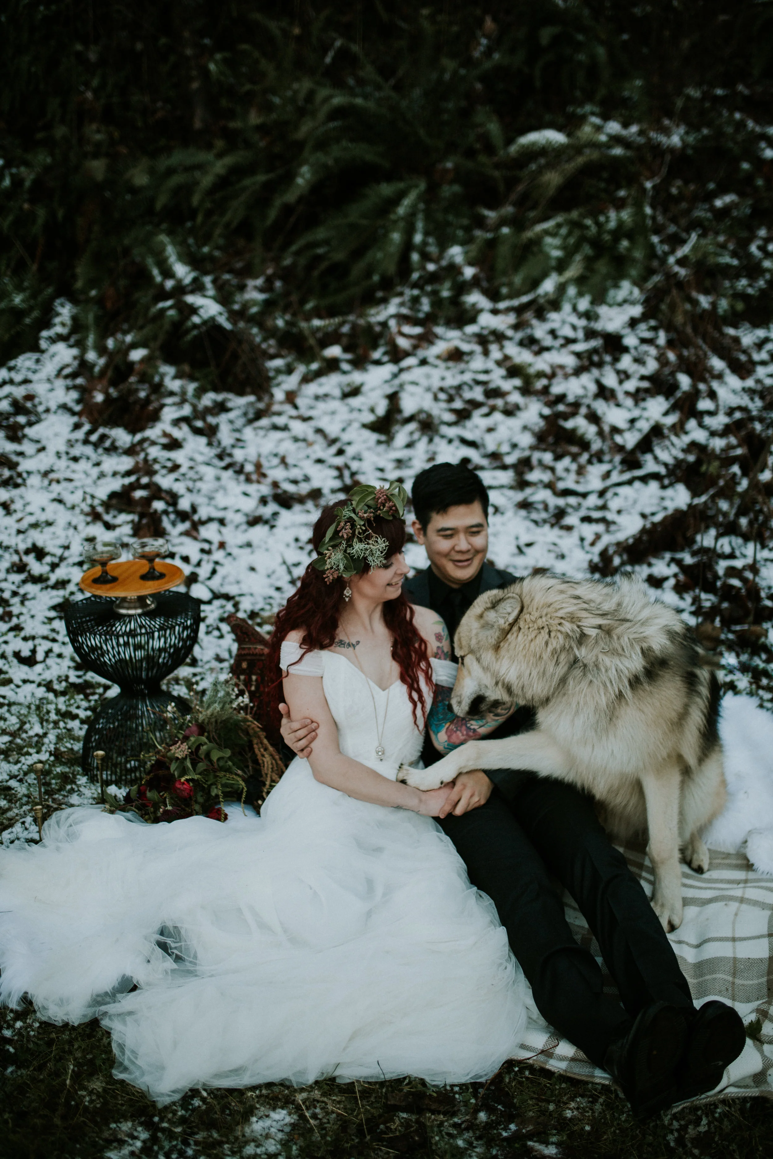 latourel falls at columbia river gorge elopement with wolf by BreeAnna Lasher
