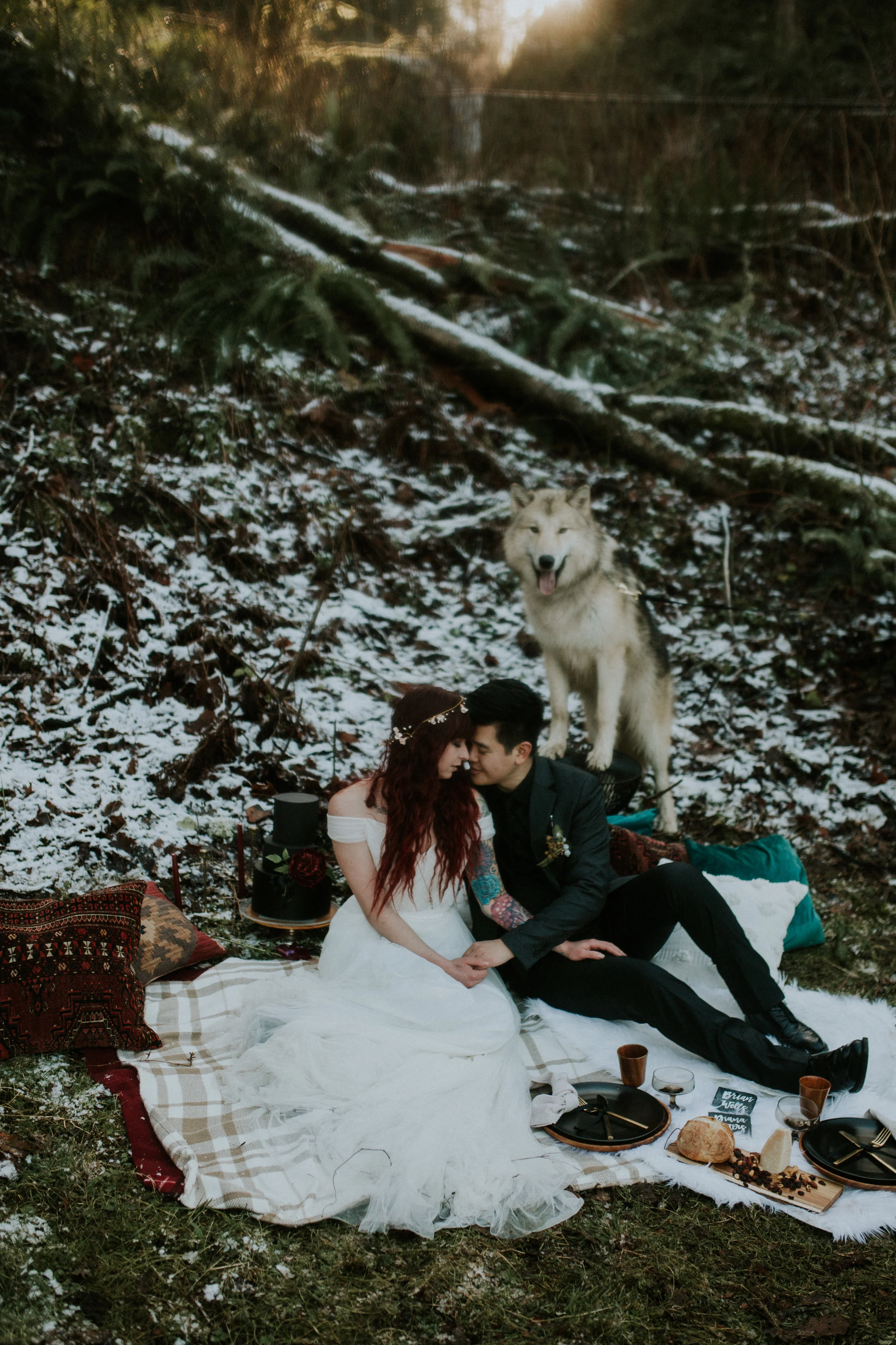 elopement at latourel falls state park with wolf dog photography