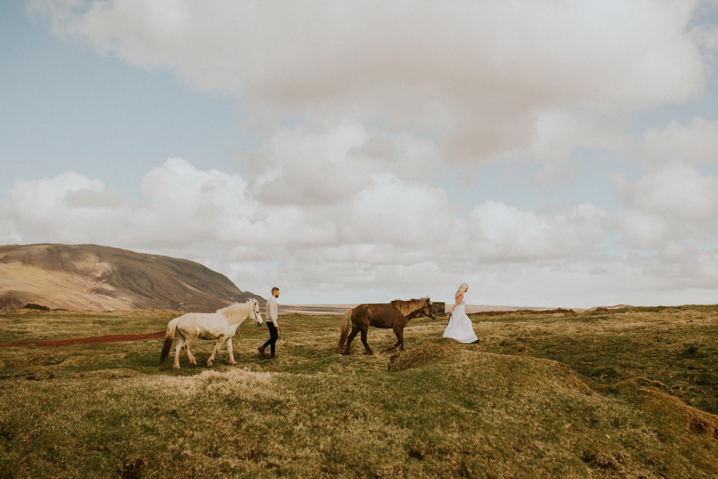 iceland countryside elopement with ponies by photographer breeanna lasher&nbsp;