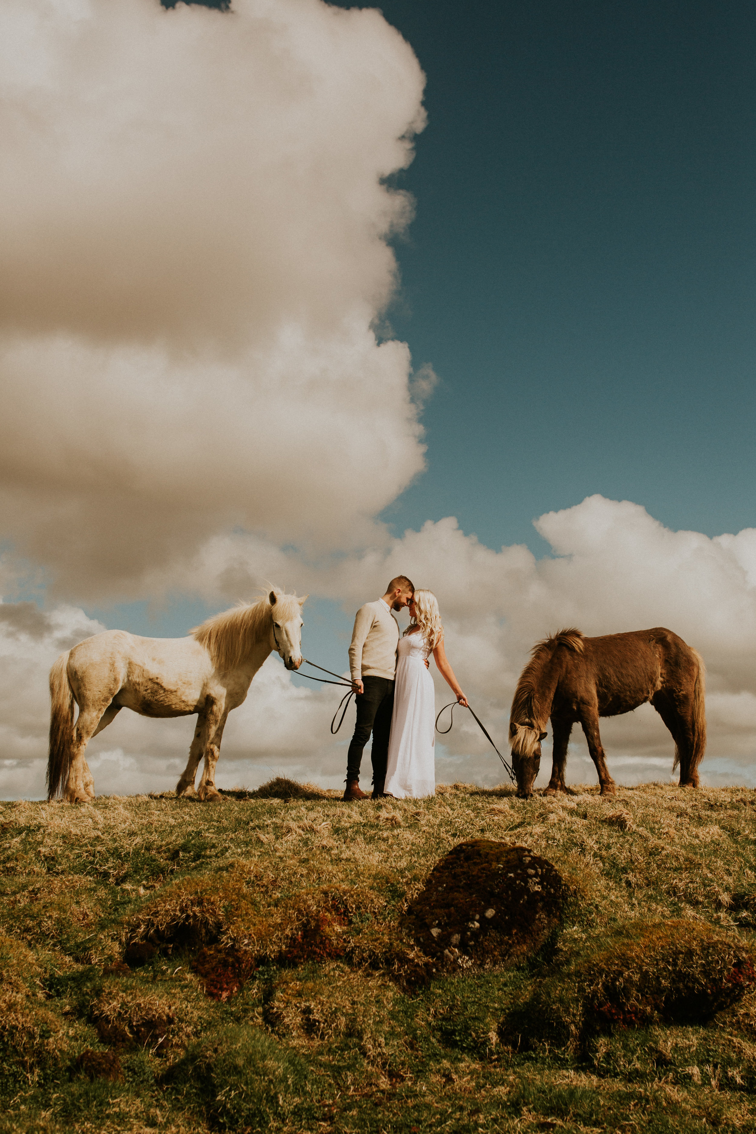 icelandic horse farm bridal session by photographer breeanna lasher&nbsp;