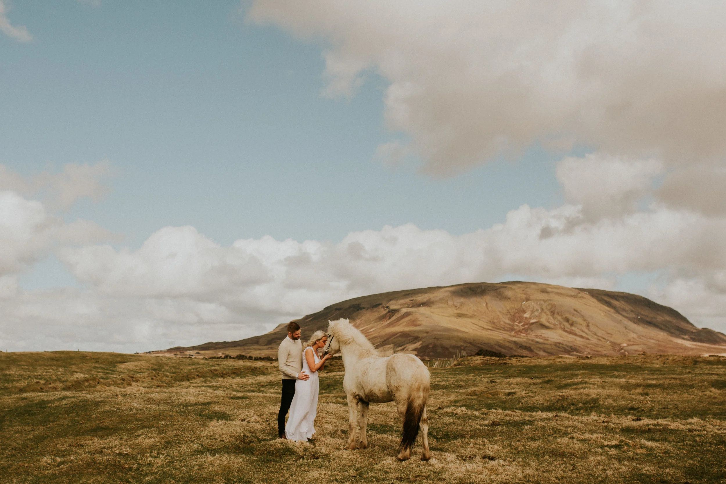 iceland elopement on icelandic horse farm by photography breeanna lasher&nbsp;